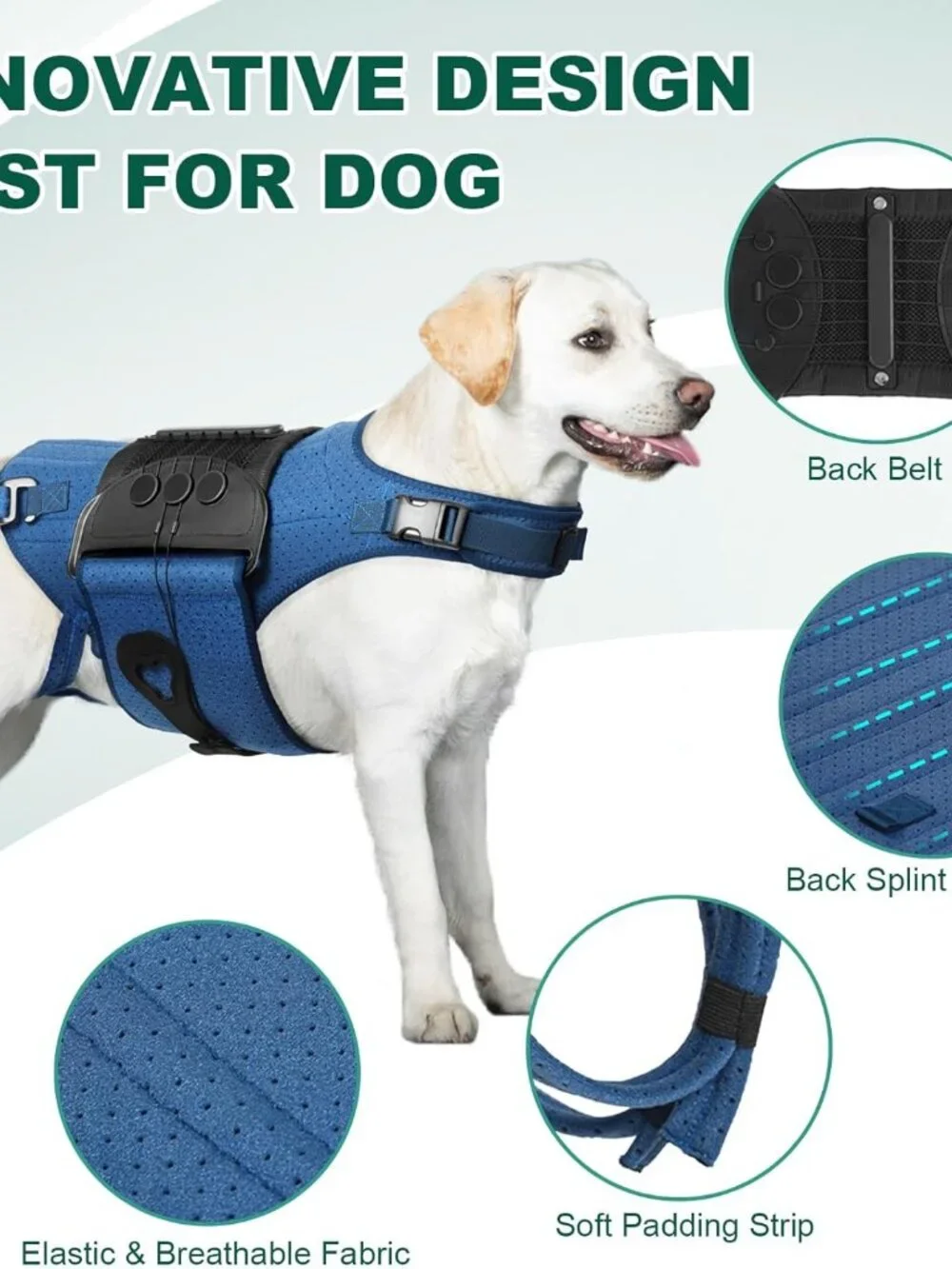 Dog Back Brace for IVDD, Arthritis, Slipped and Herniated Discs